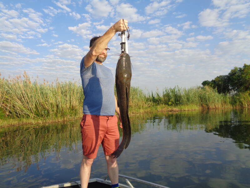 11/11-12 Chobe River Boat